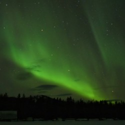 aurora 